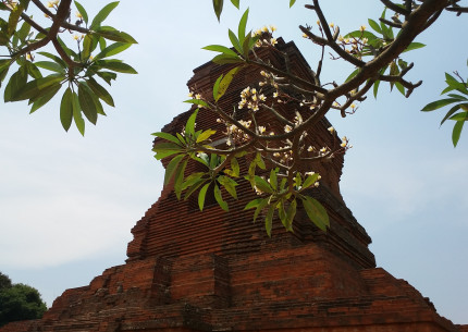 From Surabaya Cruise Port : Trowulan Archeological Tours