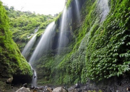 From Surabaya or Malang : Mount Bromo and Madakaripura Waterfall Tours
