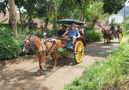 Borobudur Temple & Candirejo Village by Andong ( Horse Carriage )