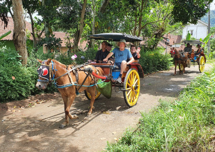 Borobudur Temple & Candirejo Village by Andong ( Horse Carriage )