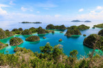 5D4N Raja Ampat - Piaynemo Tour Package