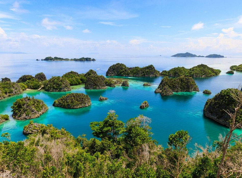 5D4N Raja Ampat - Piaynemo Tour Package