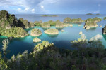 5D4N Raja Ampat - Piaynemo Tour Package