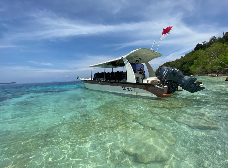 Raja Ampat Diving 4D3N