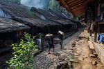 Baduy Tribe Day Tour