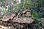 Baduy Tribe full Day Tour From Jakarta
