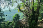 Baduy Tribe One Day Trip