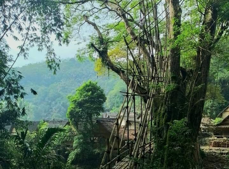 Baduy Tribe One Day Trip