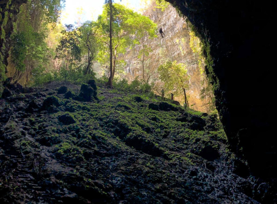 Jomblang Cave Entrance Ticket