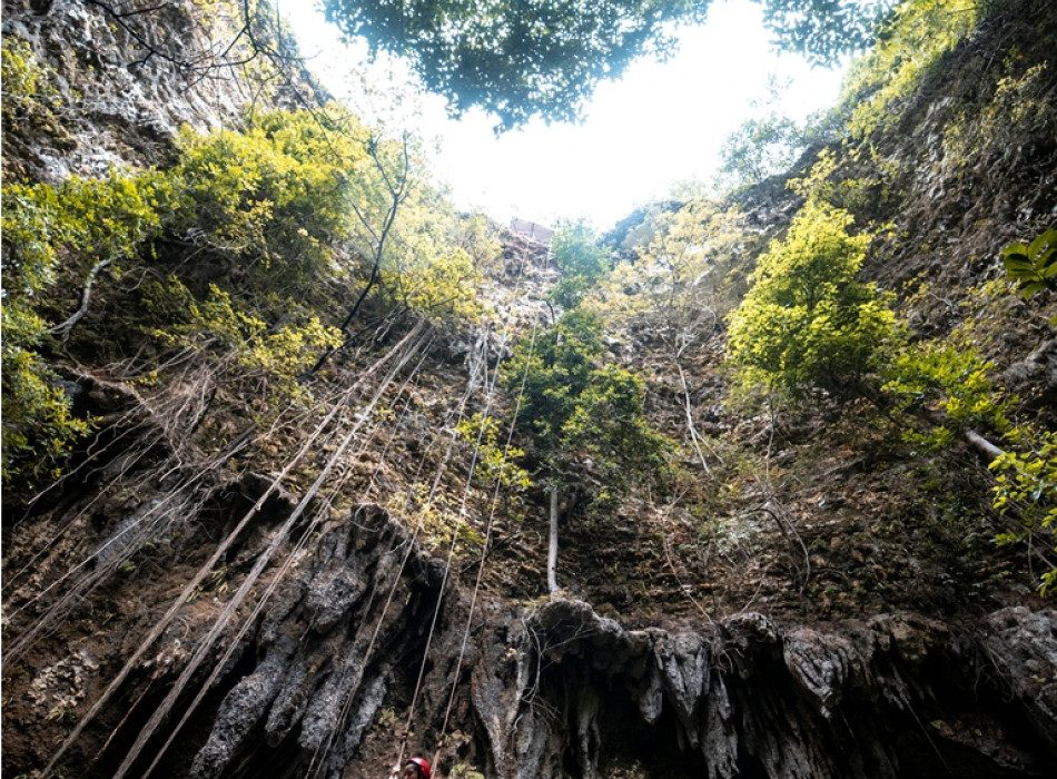 Jomblang Cave Entrance Ticket