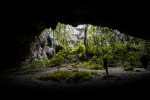 Jomblang Cave Entrance Ticket