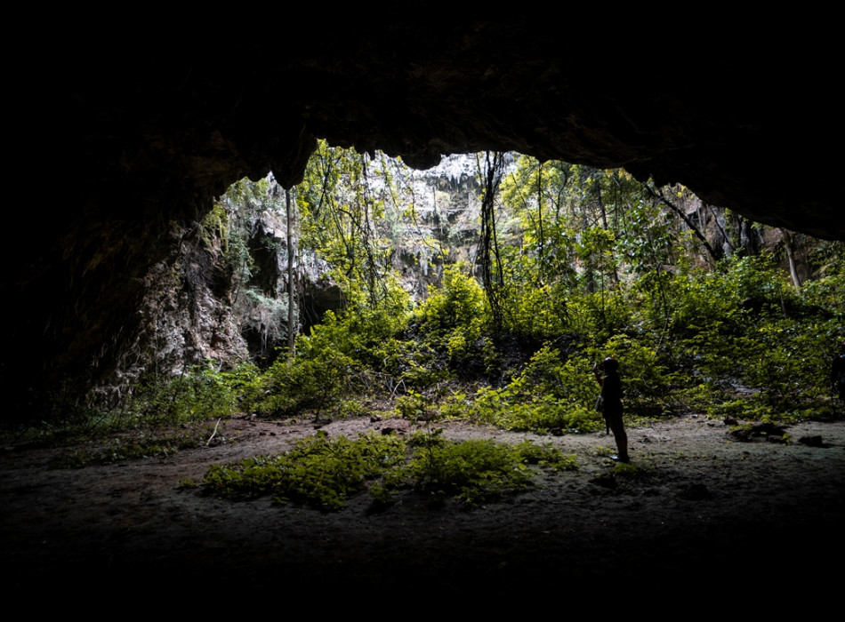 Jomblang Cave Entrance Ticket