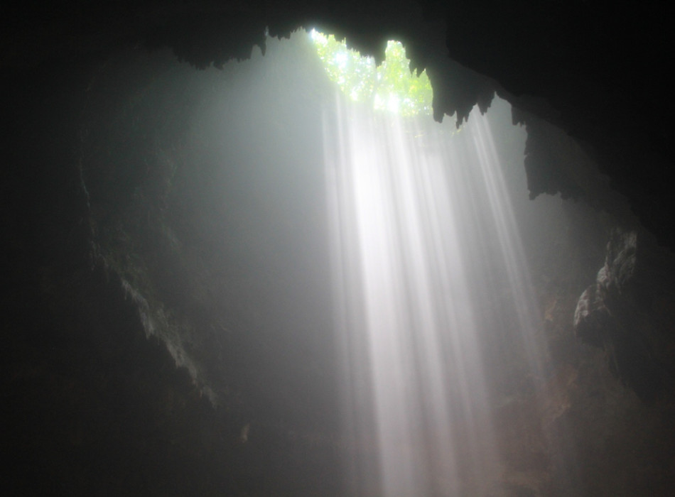 Jomblang Cave Entrance Ticket