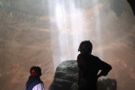 Jomblang Cave Entrance Ticket