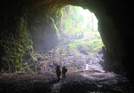 Jomblang Cave Entrance Ticket