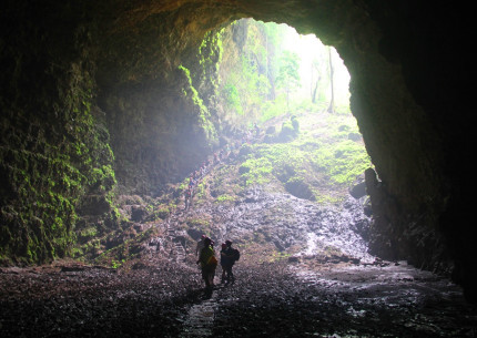 Jomblang Cave Entrance Ticket