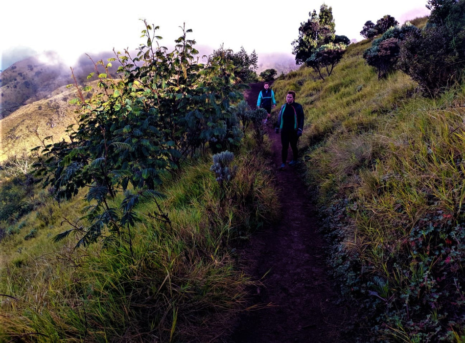 Yogyakarta: Mount Merbabu Camping 3D2N