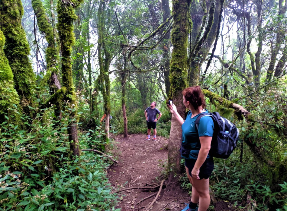 Yogyakarta: Mount Merbabu Camping 3D2N