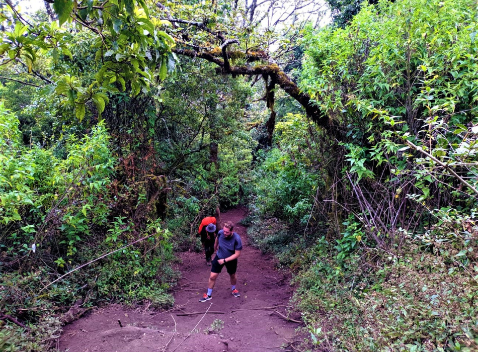 Yogyakarta: Mount Merbabu Camping 3D2N
